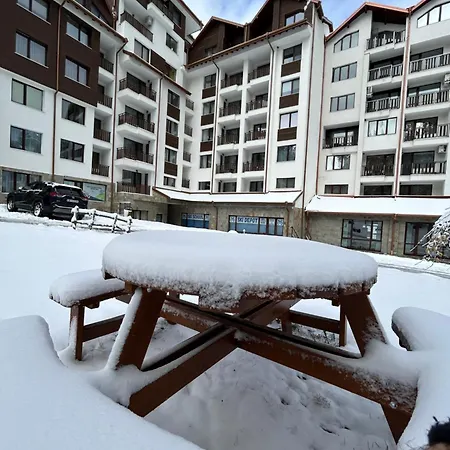 Gardens B44 Morunov *