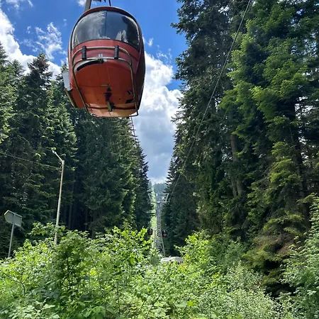 Gardens B44 Morunov Borovets