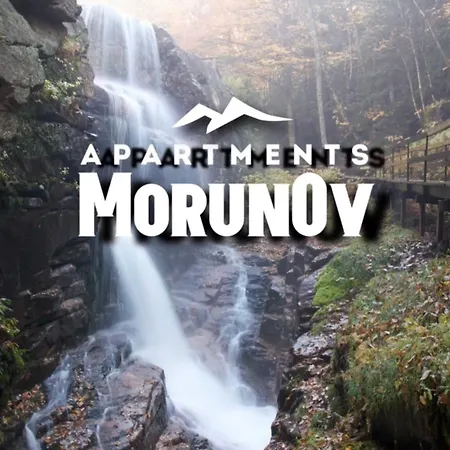 Gardens B44 Morunov Apartment