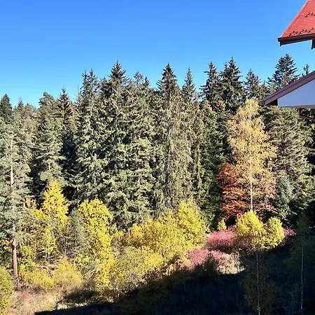 Apartment Gardens B44 Morunov