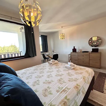 Gardens B44 Morunov Μπόροβετς