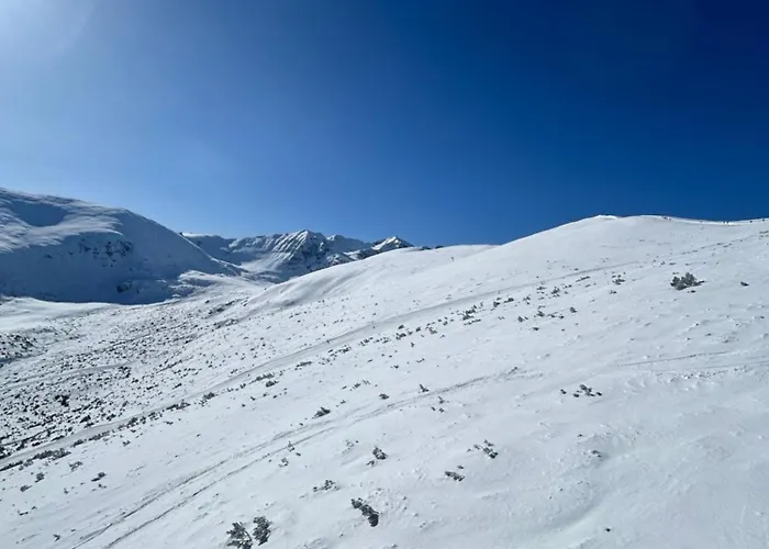 Apartament Gardens B44 Morunov