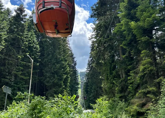 Gardens B44 Morunov Boroveț