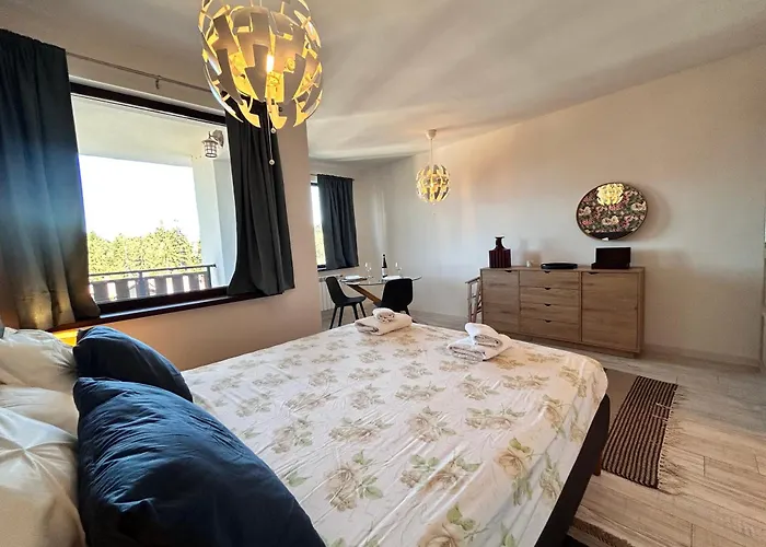 Gardens B44 Morunov Boroveț